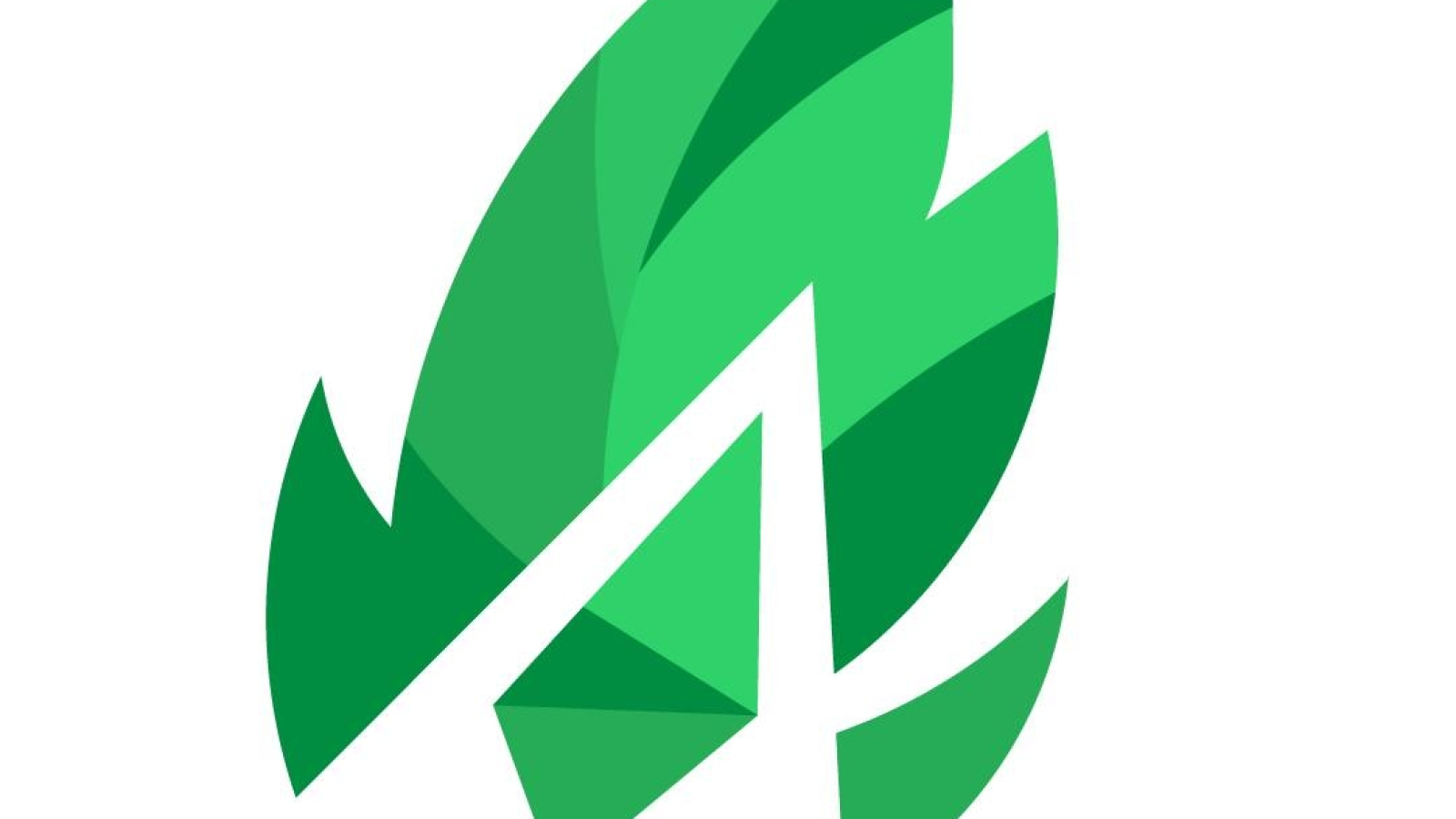 330973908_2468571869969786_9191232667404702877_n